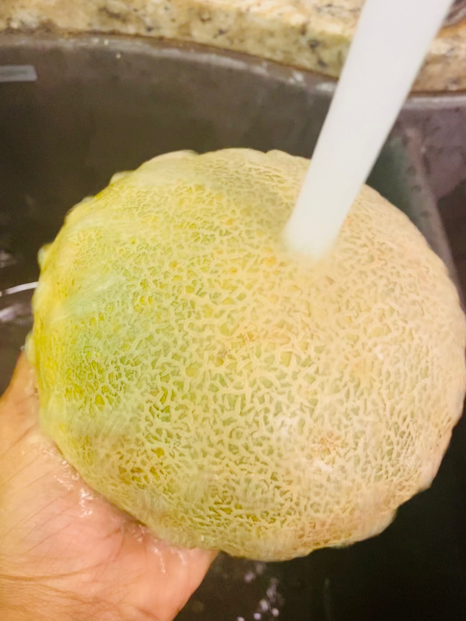 cantaloupe wash