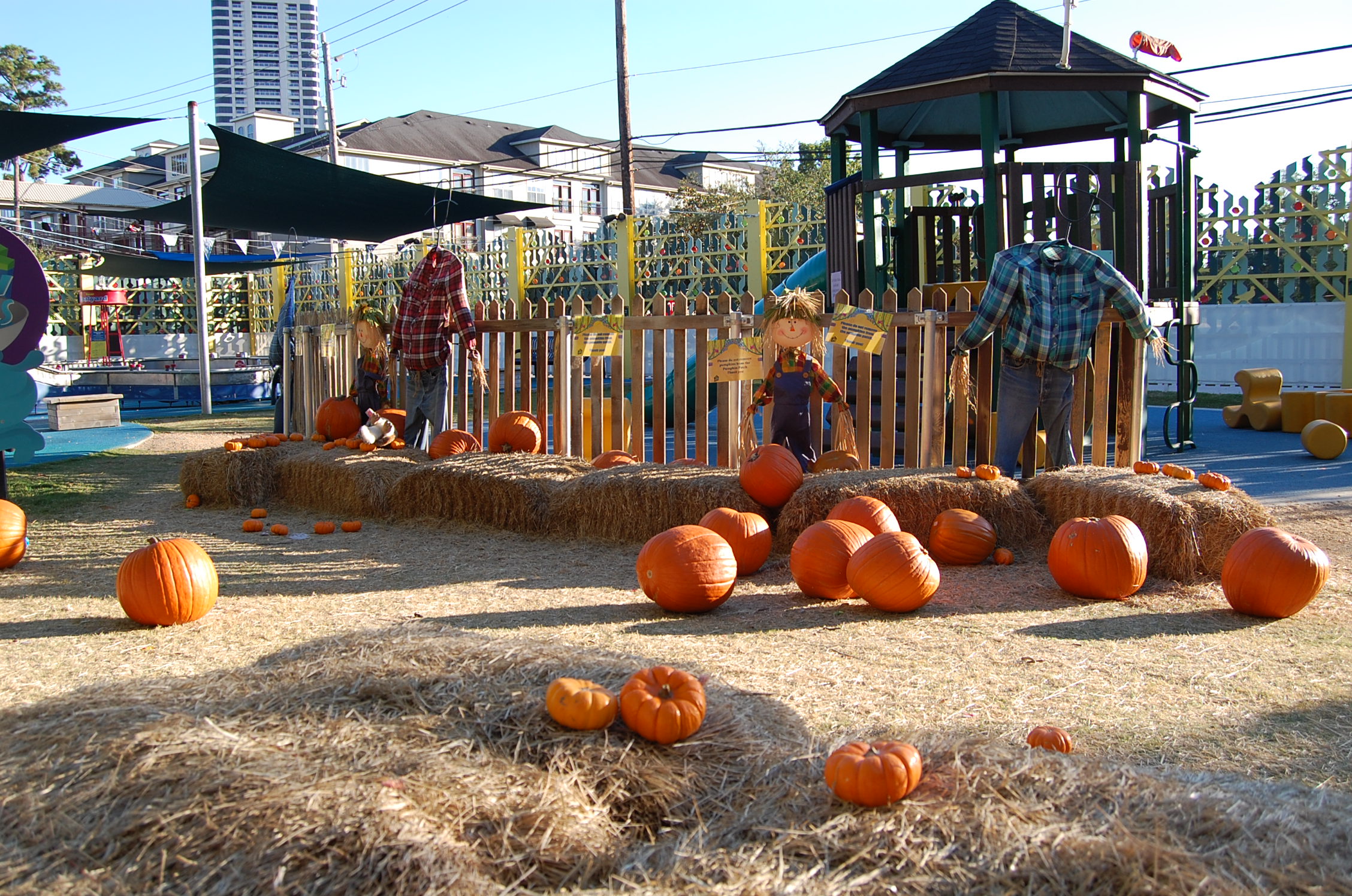 cmhouston halloween1