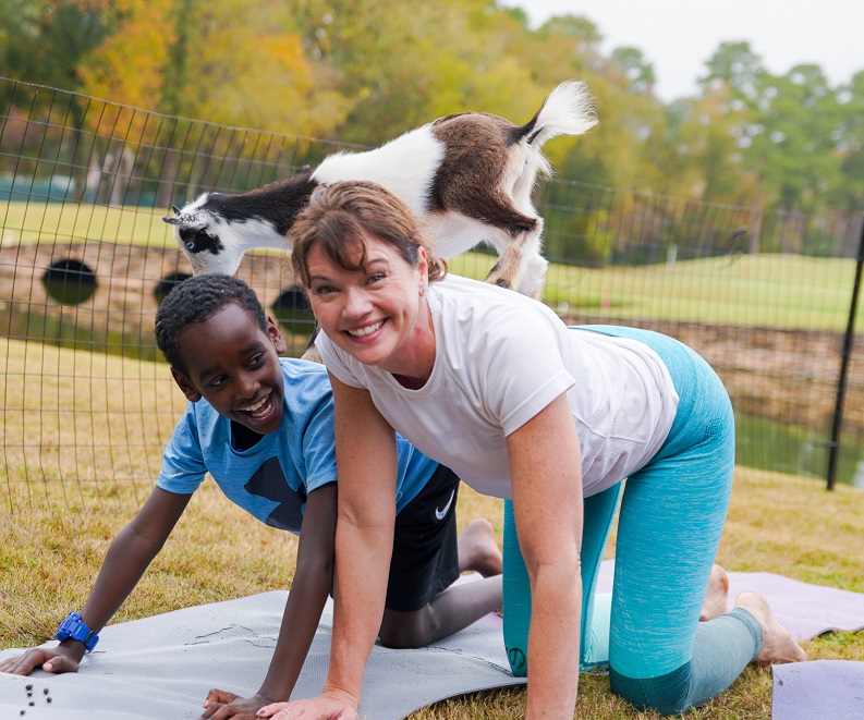 goat yoga 2