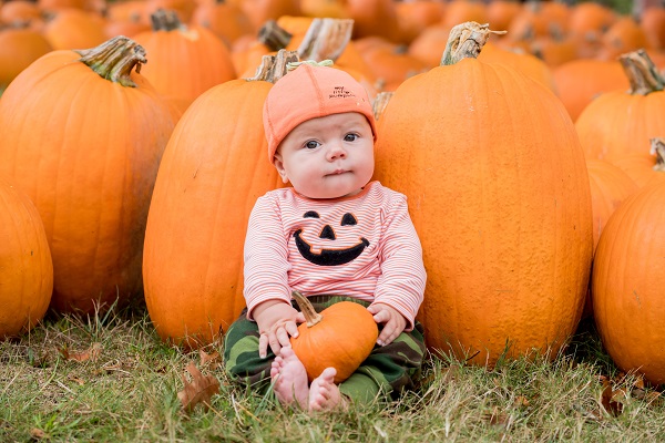 pumpkin propup