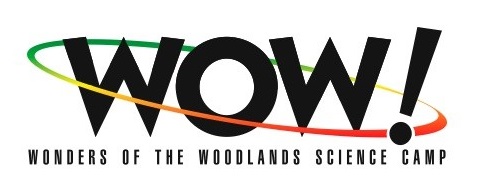 wow logo