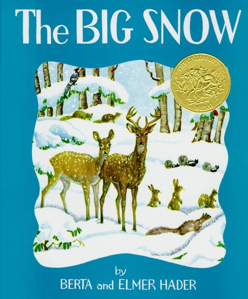 the big snow