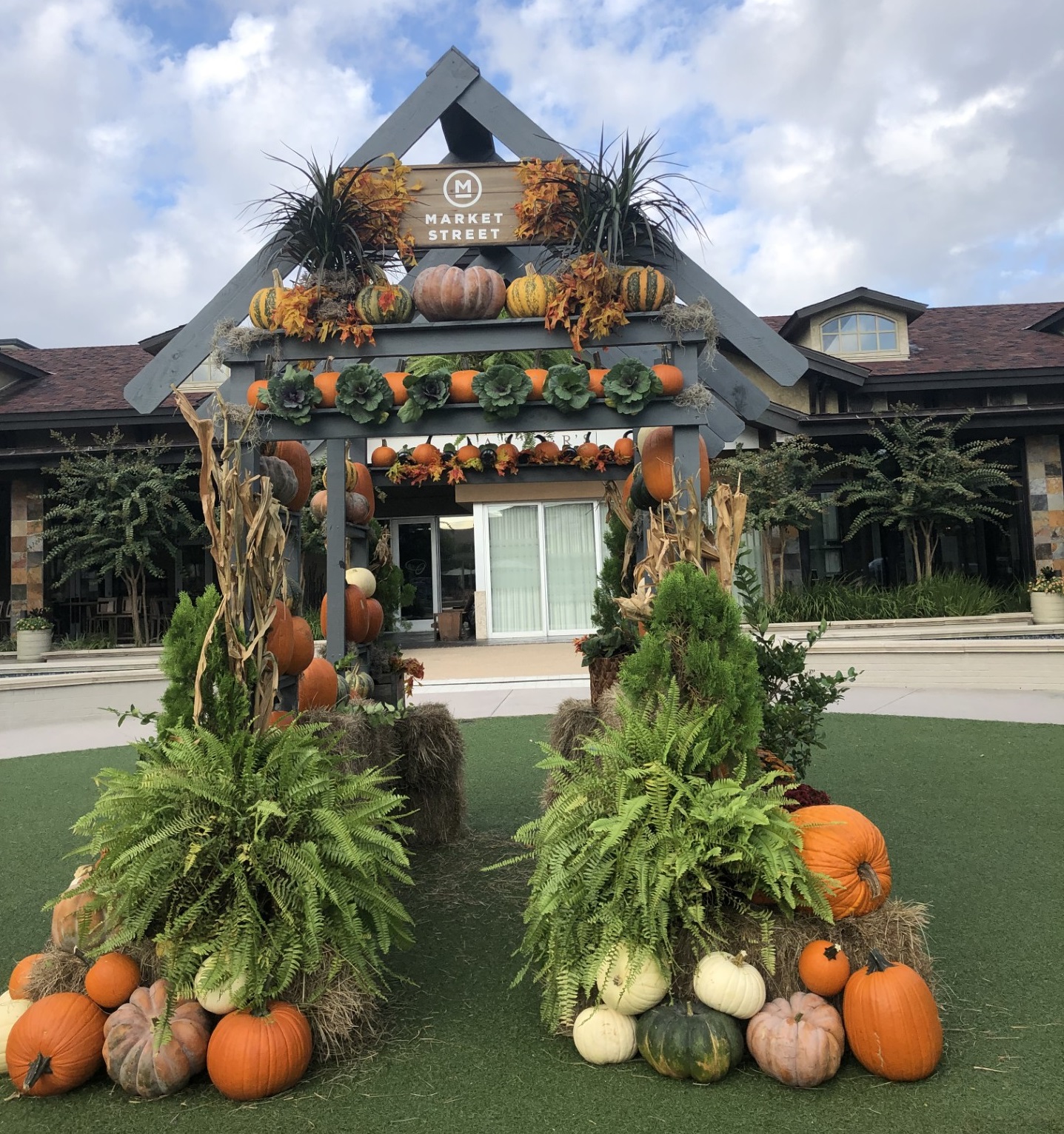 thumbnail Pumpkin photo backdrop